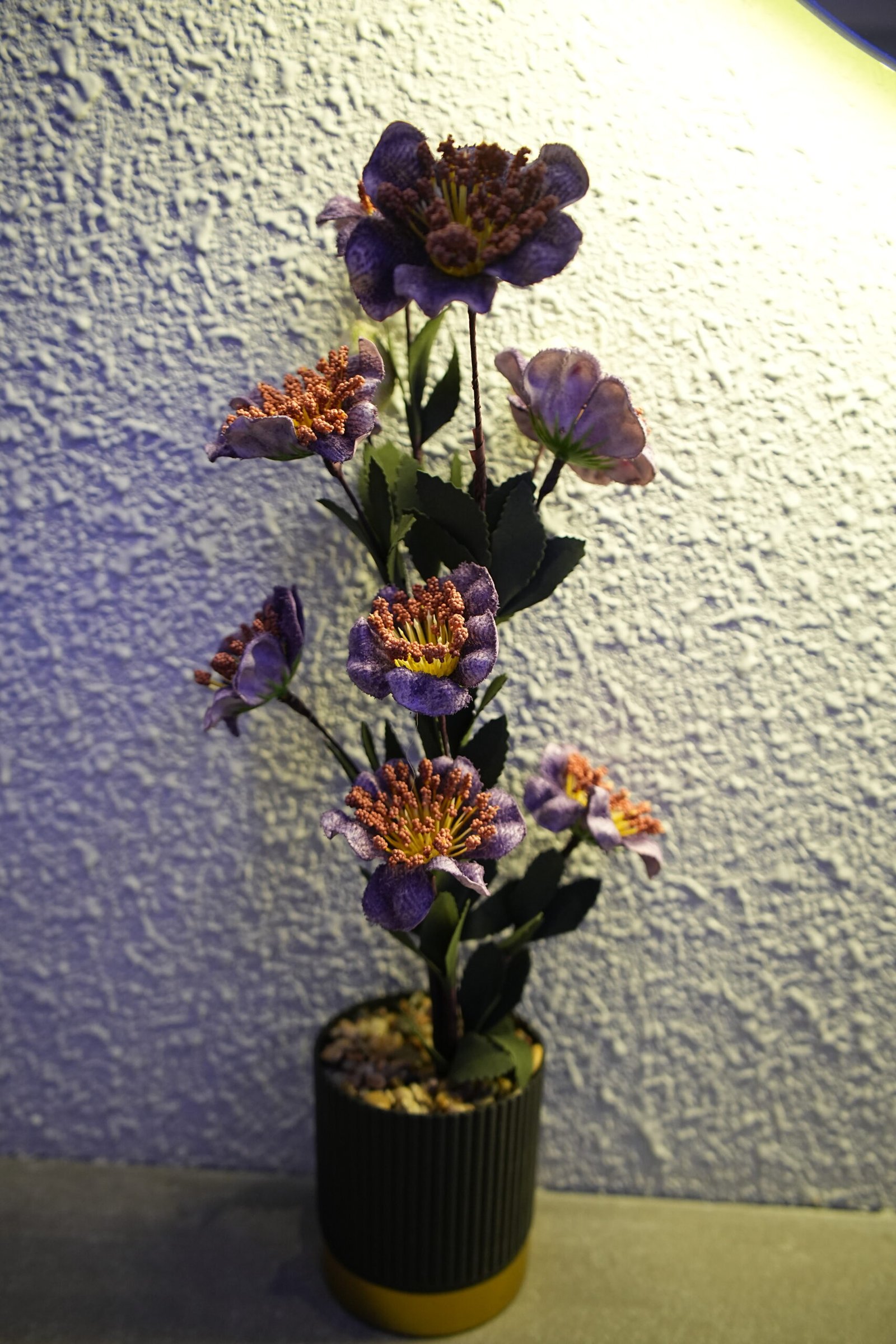 Spa treatment room with dim lighting.